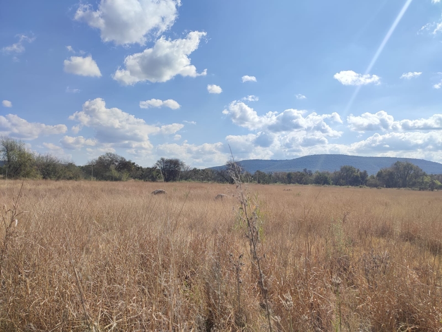 0 Bedroom Property for Sale in Zeerust North West